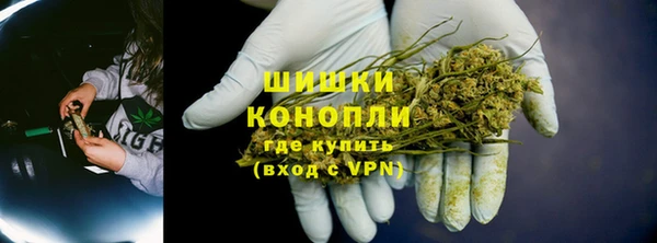 гидра Горнозаводск