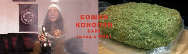 гидра Горнозаводск