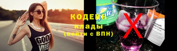 ГАЛЛЮЦИНОГЕННЫЕ ГРИБЫ Горно-Алтайск
