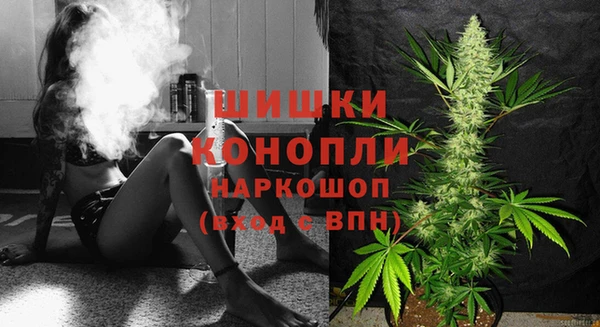 сатива Гусиноозёрск