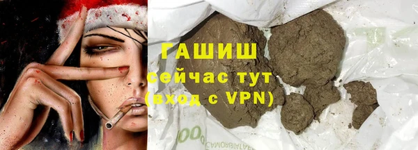 гидра Горнозаводск