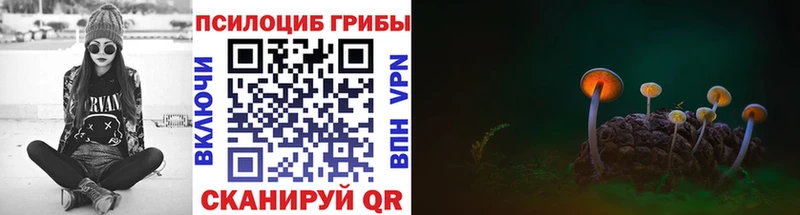 Купить где  Карачаевск  Псилоцибиновые грибы ЛСД 
