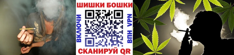 Шишки марихуана Amnesia  Купить закладки  Карачаевск 